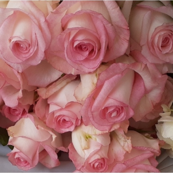 Meet your Posher, Evythingsunique💕💕 - Picture 2 of 3